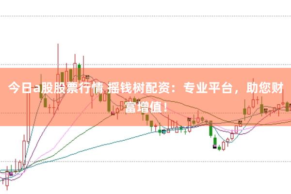 今日a股股票行情 摇钱树配资：专业平台，助您财富增值！