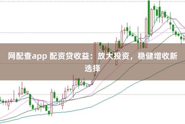 网配查app 配资贷收益：放大投资，稳健增收新选择