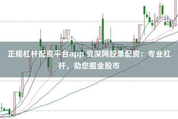 正规杠杆配资平台app 资深网股票配资：专业杠杆，助您掘金股市